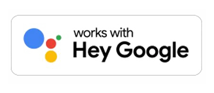 works with google voice