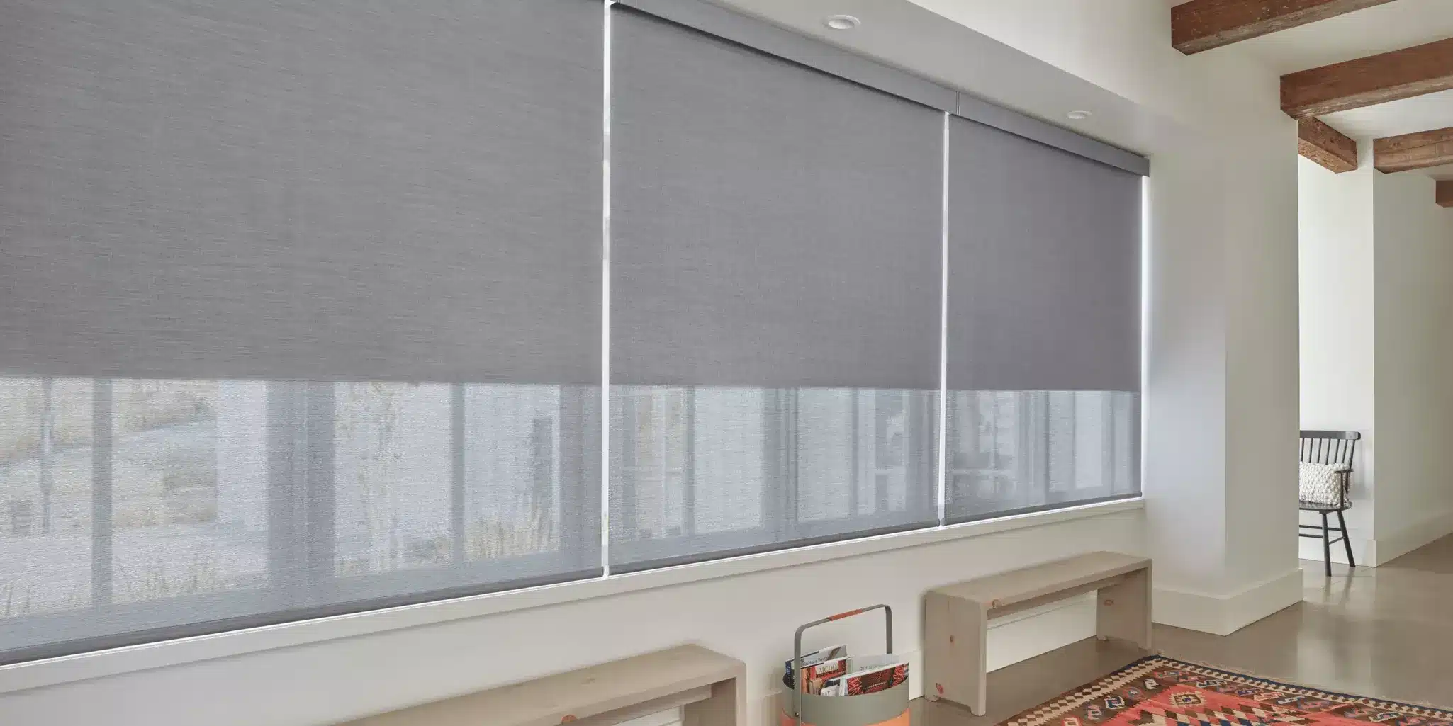 Hunter Douglas Roller Shades