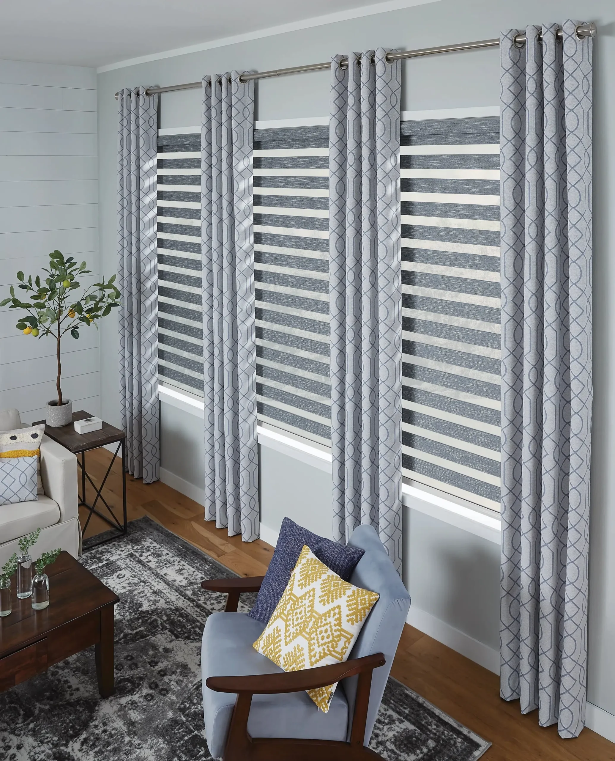Blue Zebra Shades scaled.jpg