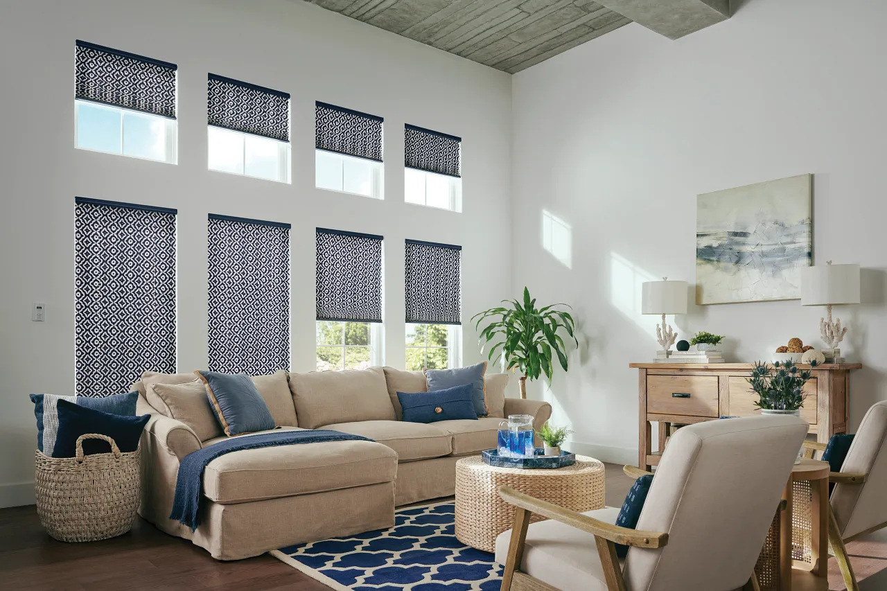 Pleated Shade Windows (5)