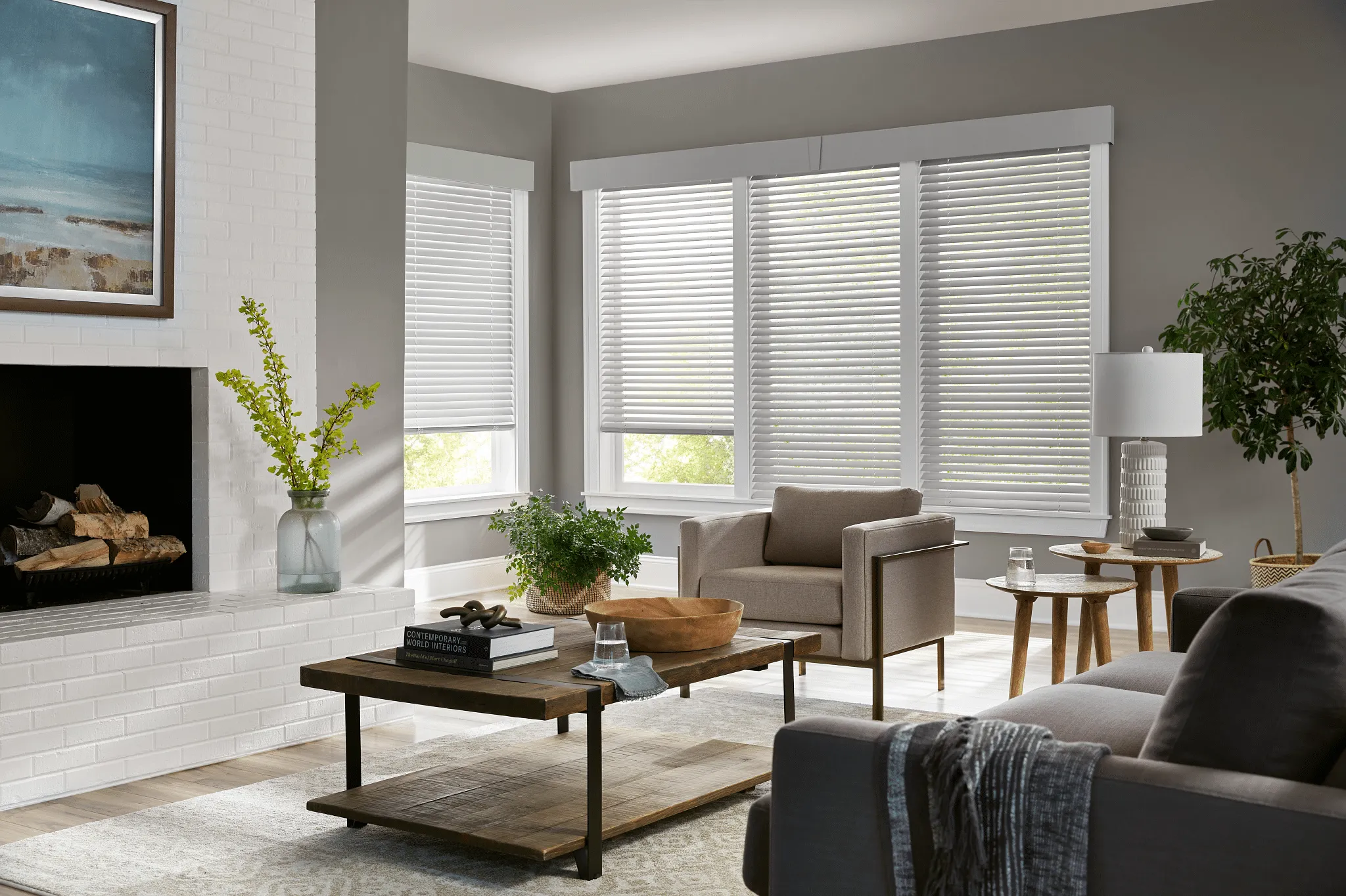 Wood Blinds Living Room (5)